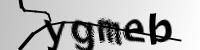 authCodeServlet